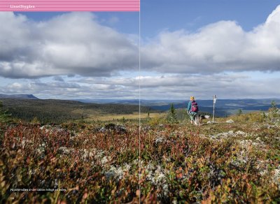 Vandra i Vemdalsfjällen