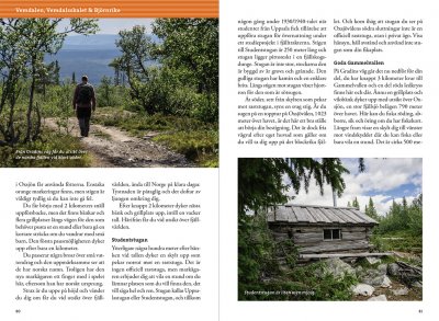 Vandra i Vemdalsfjällen