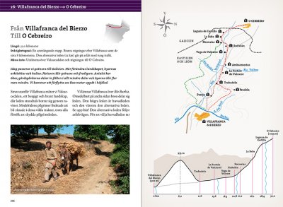 Pilgrimsvandra till Santiago de Compostela