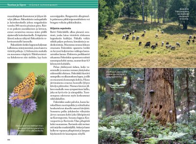 Helsingin seudun retkeilyopas