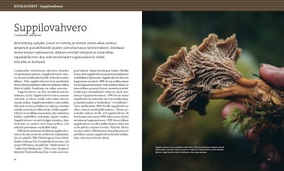 Herkuttelijan sienikirja