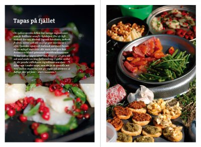 Kokbok för friluftskockar