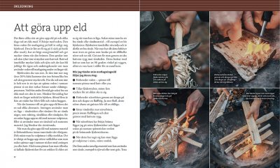 Laga mat på stekhäll