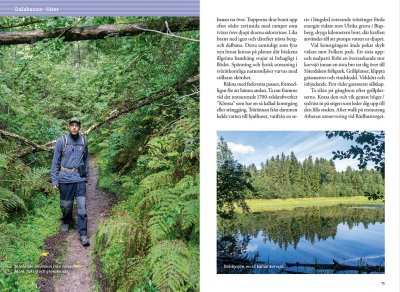 Tågvandra från Stockholm