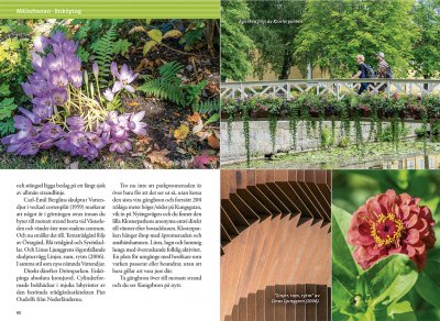 Tågvandra från Stockholm