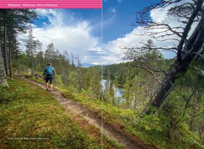 Vandra i Årefjällen