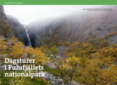 Vandra i Sälen och Fulufjällets nationalpark