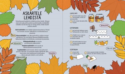 Villin luonnon puuhakirja